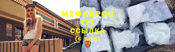 амф Тайга