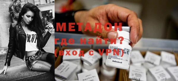 амф Тайга
