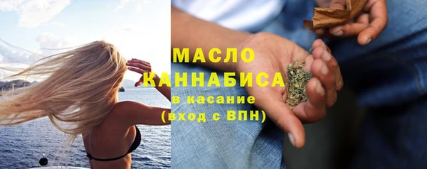 амф Тайга
