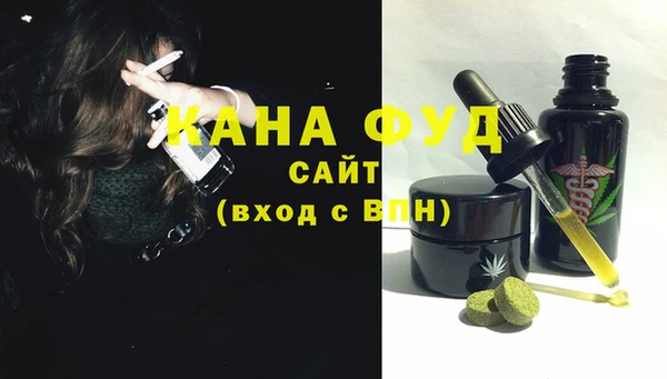 амф Тайга