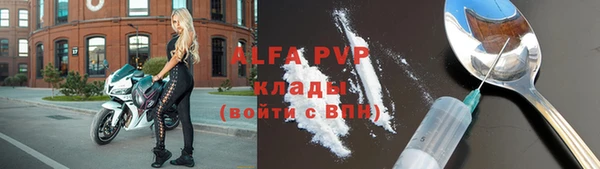 амф Тайга