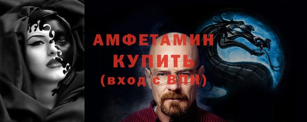 амф Тайга