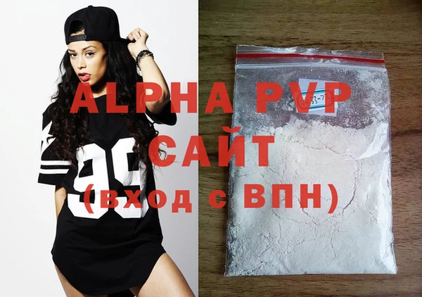 амф Тайга
