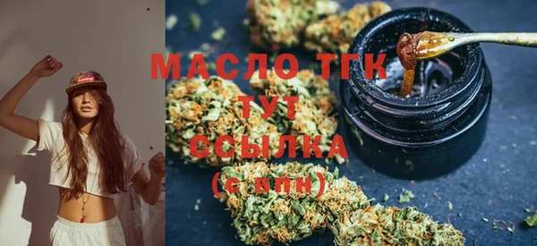 амф Тайга