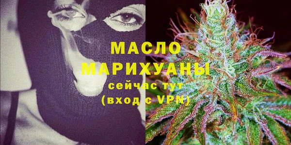 амф Тайга