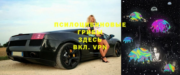 амф Тайга