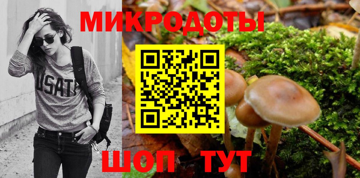 Псилоцибиновые грибы Psilocybe Урай