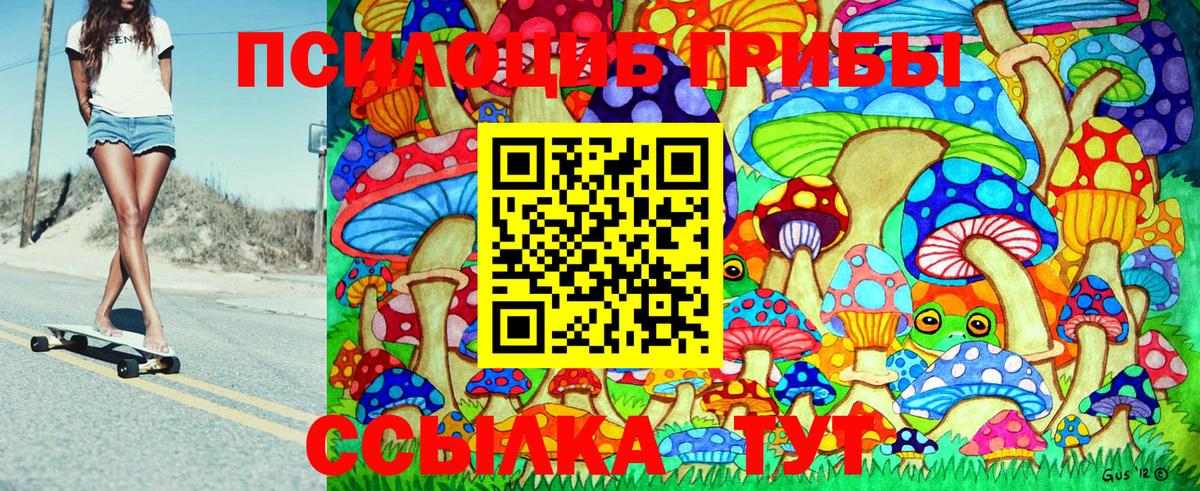 Галлюциногенные грибы Psilocybine cubensis  Урай 